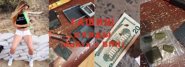 индика Балахна
