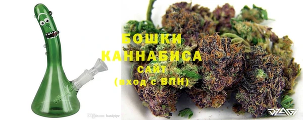 PSILOCYBIN Арсеньев