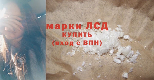 индика Балахна