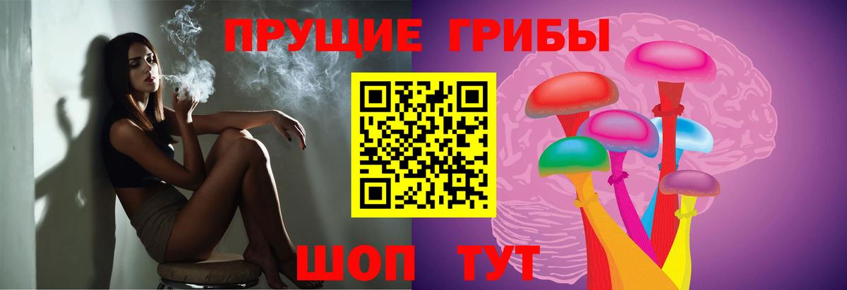 Калуга  Псилоцибиновые грибы Psilocybe  Вход с VPN 